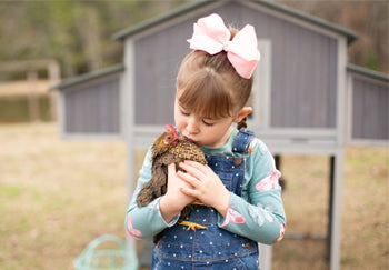 Leitfaden für Anfänger zur Hühnerhaltung im Garten
