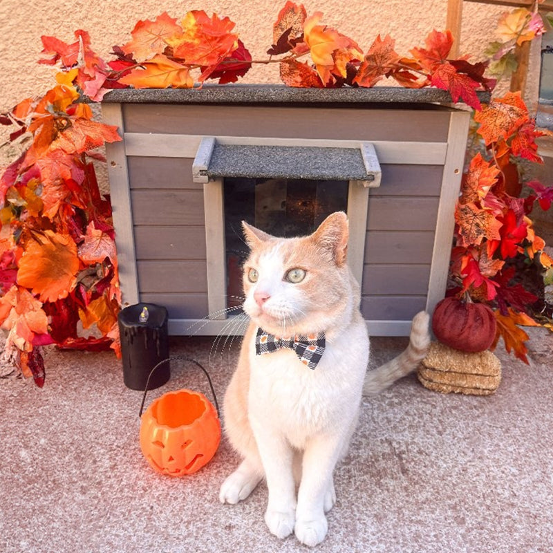 Aivituvin-AIR12-IN Isoliertes Katzenhaus aus Holz mit weicher Auskleidung | Wasserdichtes Dach