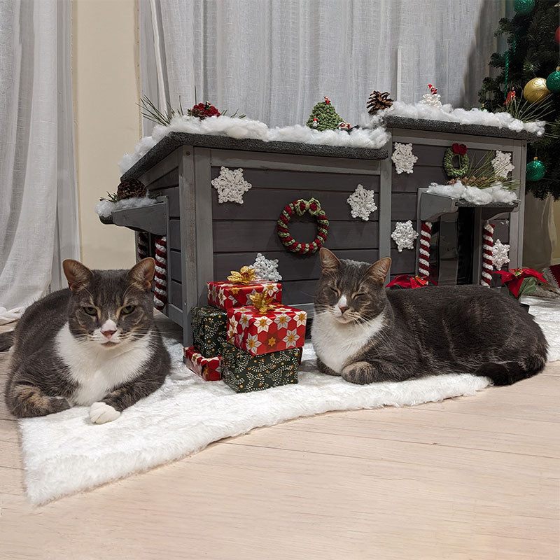 Aivituvin-AIR93-IN Isoliertes Katzenhaus für den Winter im Freien | Warmes Futter innen