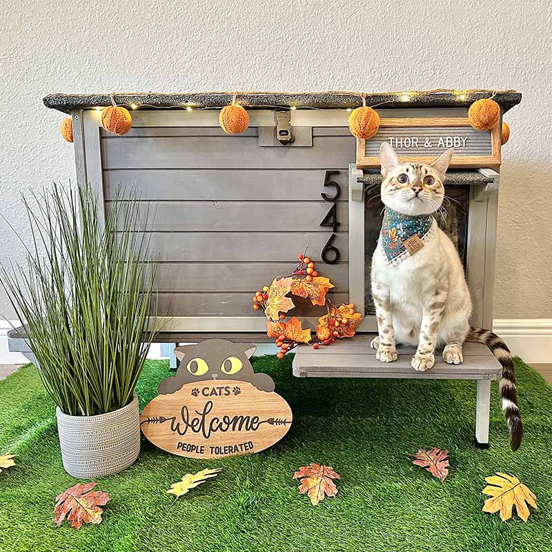 Aivituvin-AIR91-IN Isoliertes Katzenhaus für draußen | Warmes Futter innen