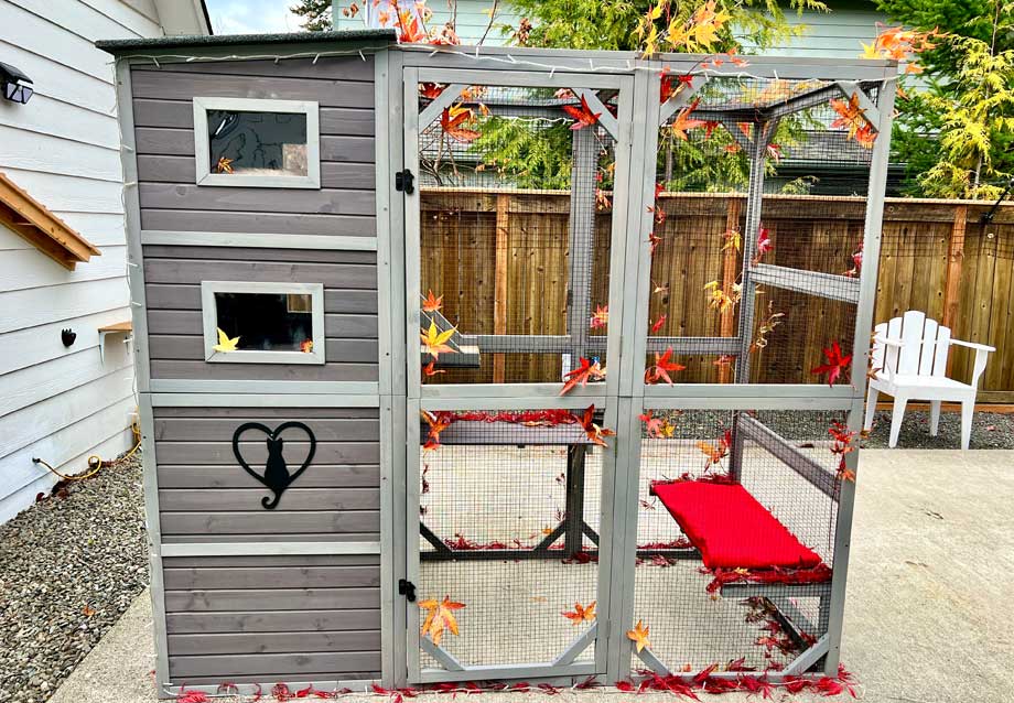 Outdoor Cat Enclosures 