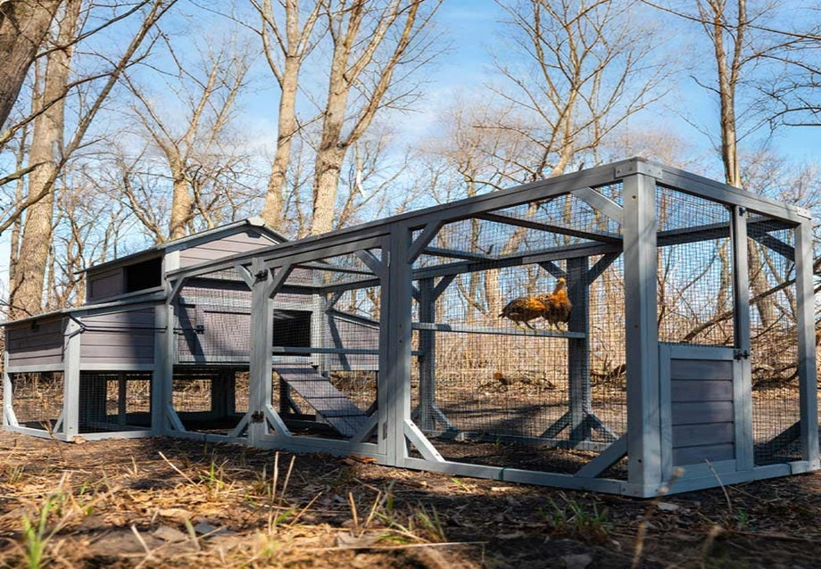 Chicken Coop Size for 10 Chickens