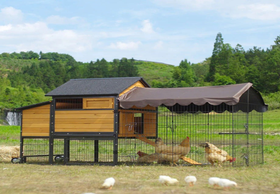Best Chicken Coops on Wheels for Backyard Gardens (2026 Buyer's Guide)
