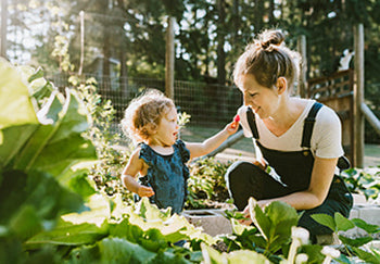 Häufig gestellte Fragen zum Thema Hochbeet 