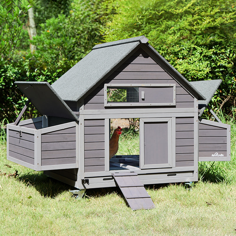 AIR67-Aivituvin Großer Chicken Tractor für 2–4 Hühner