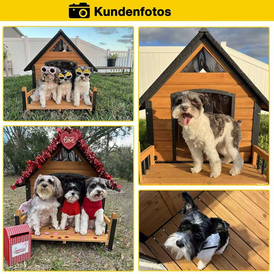 Aivituvin-AIR80 Hundehütte für draußen mit Veranda | Stabiler Eisenrahmen