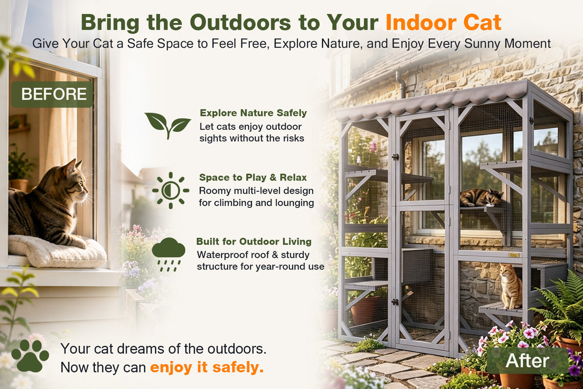 Catios & Outdoor Cat Enclosures
