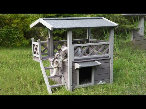 Aivituvin-AIR09-B Katzenhaus für drinnen und draußen (Innenraum: 1,6 m²)