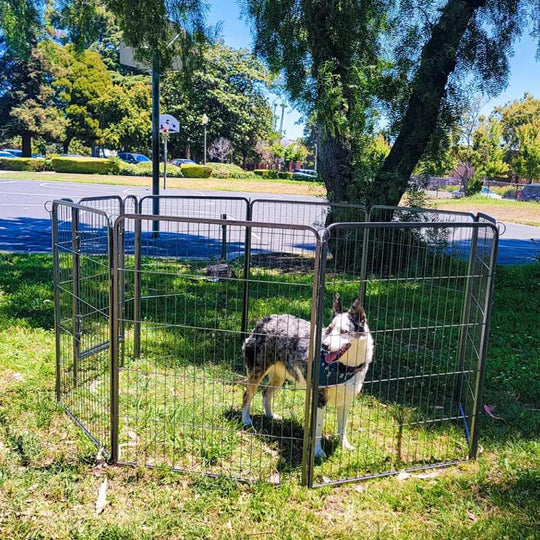 Aivituvin-AIR50/51 Hunde-Übungsstall | Tragbarer Laufstall für Welpen im Innen- und Außenbereich
