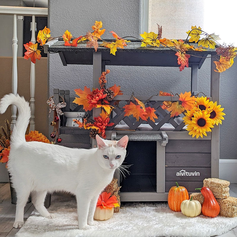 Aivituvin-AIR09-B Katzenhaus für drinnen und draußen (Innenraum: 1,6 m²)