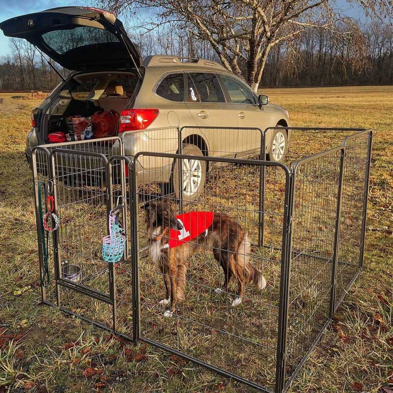 Aivituvin-AIR50/51 Hunde-Übungsstall | Tragbarer Laufstall für Welpen im Innen- und Außenbereich